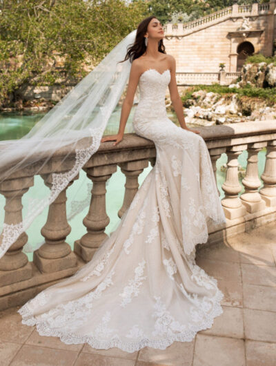 Mira Couture Pronovias Princia Wedding Dress Bridal Gown Chicago Boutique4 600x800 1