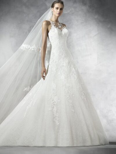 Pronovias Prunelia Wedding Dress front